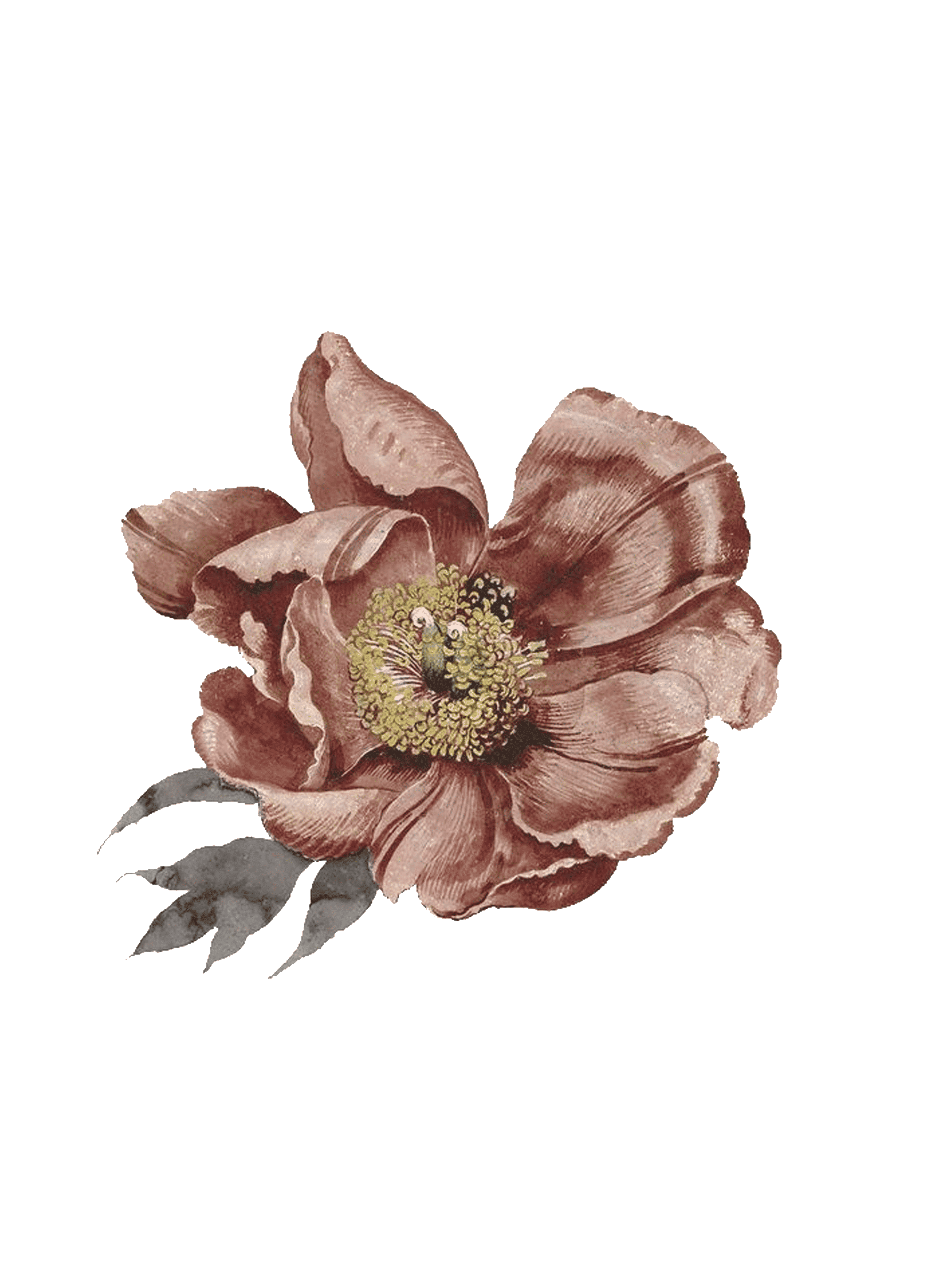 Your image description